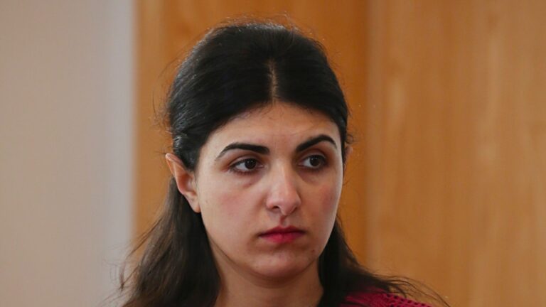 “ბევრი საჭირო ინფორმაცია ძალიან მარტივად მოსაძიებელია, მთავარია ვიცოდეთ როგორ..”– მერი კორინთელი
