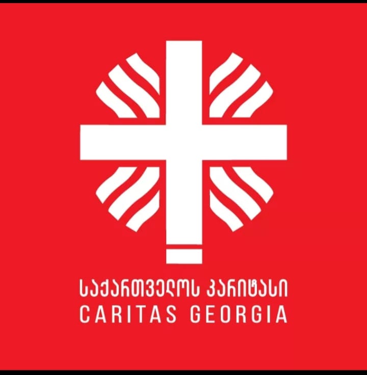 ბოლო მონაცემებით, 185 000 ადამიანი შინმოვლას საჭიროებს – ტრენინგი გორში