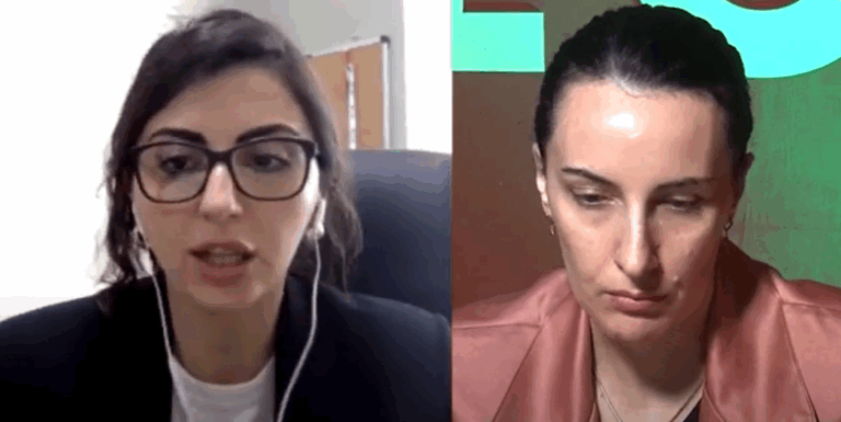გადაცემა “ფაქტი” – “დიფსთეითის ავტორები”